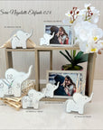 Serie Elefante