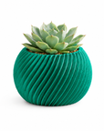 Origami caspeau