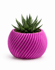 Origami caspeau