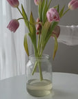 Vaso Absolute